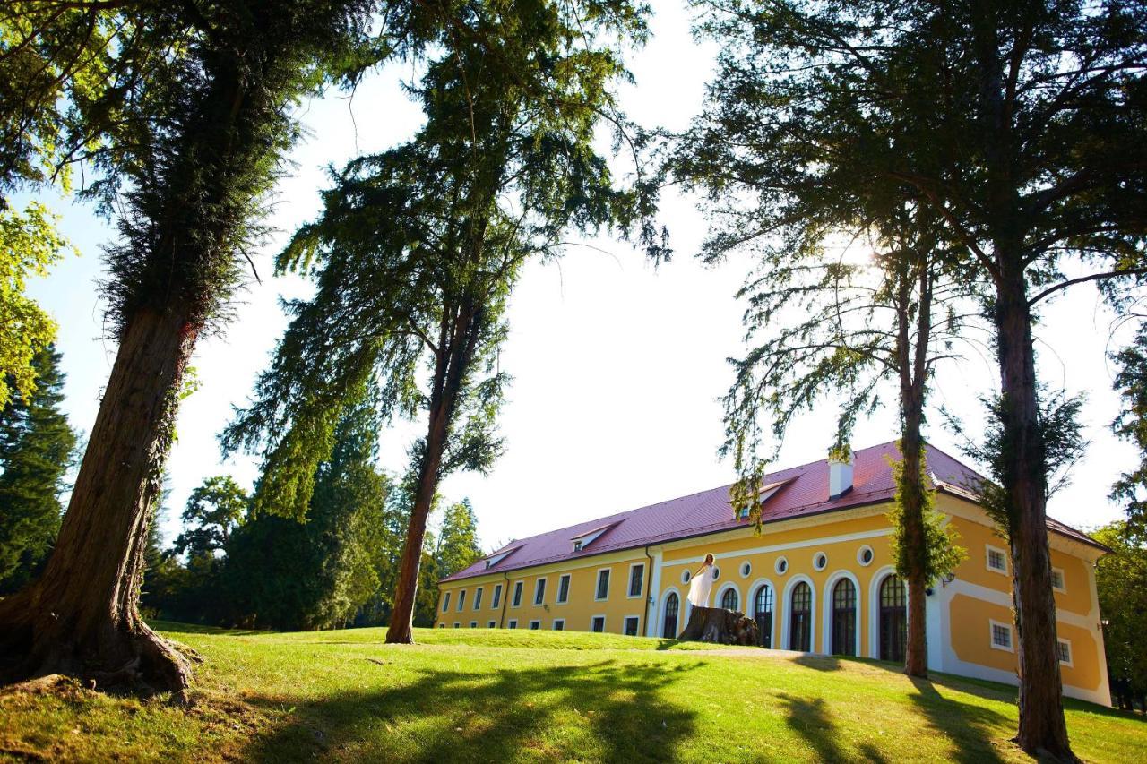 Mokrice Castle Estate 4* Obrezje